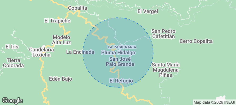 Discover Pluma Hidalgo Airbnb Analytics